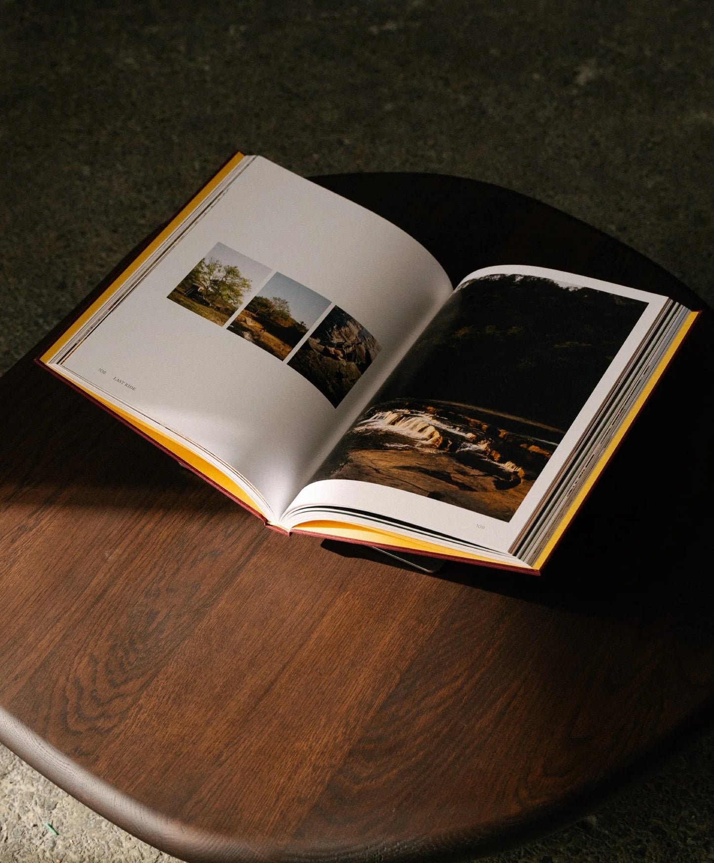 Edinburgh Kitap Standı